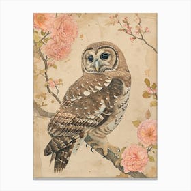 Spotted Owl Japanese Painting 2 Canvas Print