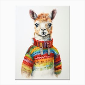 Baby Animal Wearing Sweater Alpaca 1 Canvas Print