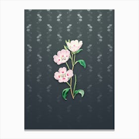 Vintage Pink Oenothera Flower Botanical on Slate Gray Pattern n.0936 Canvas Print