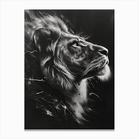 African Lion Charcoal Drawing Night Hunt 4 Canvas Print