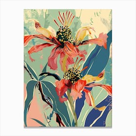Colourful Flower Illustration Bee Balm 4 Canvas Print