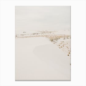 White Sand Desert Canvas Print