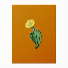 Vintage One Spined Opuntia Flower Botanical on Sunset Orange n.0450 Canvas Print