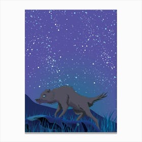 Wolf In The Night Sky Canvas Print