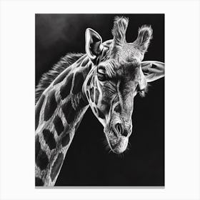 Black & Grey Pencil Drawing Giraffe Drawing Canvas Print