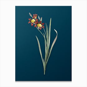 Vintage Ixia Tricolor Botanical Art on Teal Blue n.0358 Canvas Print