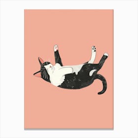 Cat Illustration 6 Canvas Print