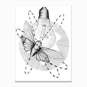 Moth To The Flame Canvas Print