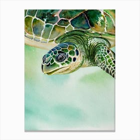 Green Sea Turtle II Storybook Watercolour Canvas Print