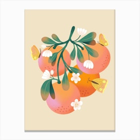 Pink Grapefruit Canvas Print