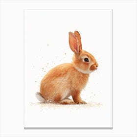 New Zealand Rabbit Nursery Illustration 4 Canvas Print