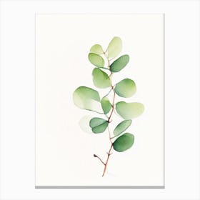 Purslane Leaf Minimalist Watercolour Canvas Print