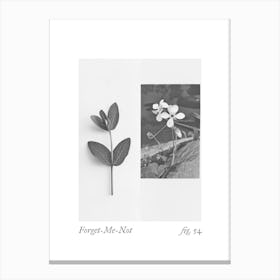 Forget Me Not Botanical Collage 4 Canvas Print