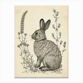 Beveren Blockprint Rabbit Illustration 6 Canvas Print