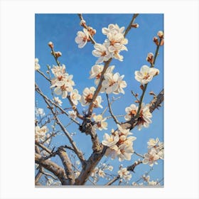 Blossoming Almond Tree 2 Canvas Print