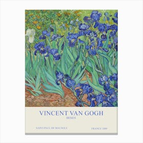 Vincent Van Gogh - Irises Canvas Print