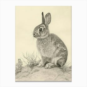 Netherland Dwarf Rabbit Drawing 4 Canvas Print