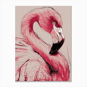 Flamingo 2 Canvas Print