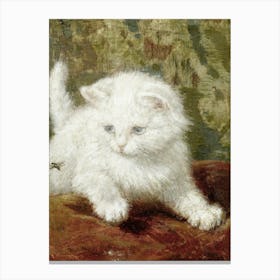 Vintage Painting White Kitten Canvas Print