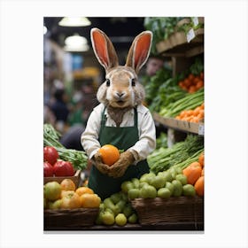 Rabbit In A Market Canvas Print