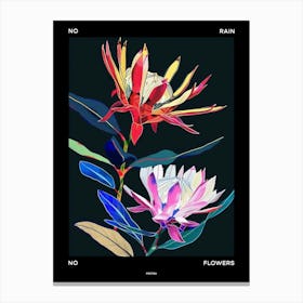 No Rain No Flowers Poster Protea 1 Canvas Print