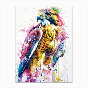 Hawk Colourful Watercolour 4 Canvas Print
