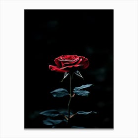 Dark Rose 90 Canvas Print