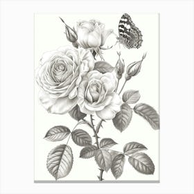 Rose With Butterfly Line Drawing 1 Canvas Print