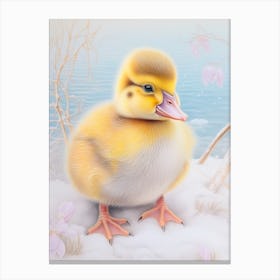 Fluffy Duckling Pencil Illustration Canvas Print