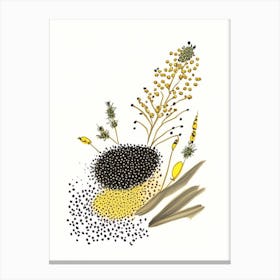 Black Mustard Seed Spices And Herbs Pencil Illustration 3 Canvas Print