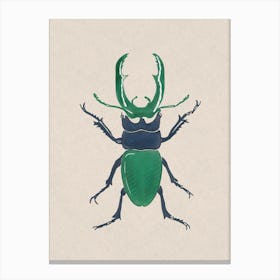 Beetle Canvas Print