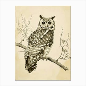 Spotted Owl Vintage Illustration 3 Canvas Print