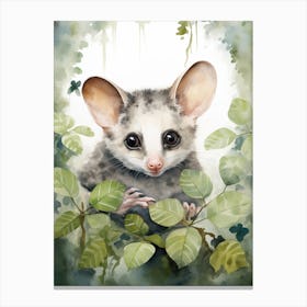 Adorable Chubby Foraging Possum 3 Canvas Print