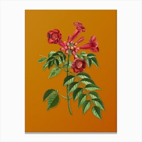 Vintage Trumpet Vine Botanical on Sunset Orange Canvas Print