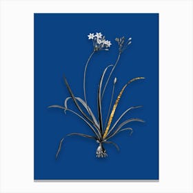 Vintage Allium Fragrans Black and White Gold Leaf Floral Art on Midnight Blue n.0450 Canvas Print