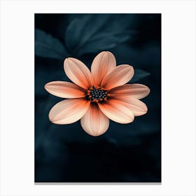 Pink Flower Wallpaper 1 Canvas Print