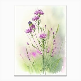 Prairie Clover Wildflower Watercolour Canvas Print