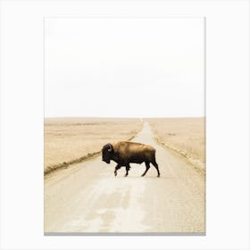 Bison Crossing Road Canvas Print