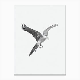 California Condor B&W Pencil Drawing 1 Bird Canvas Print
