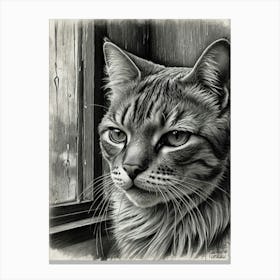 Cat In The Window 2 Canvas Print
