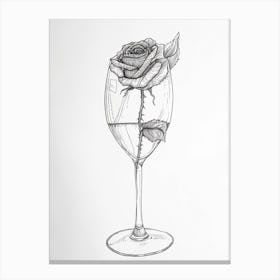 English Rose In A Wine Glass Line Drawing 4 Canvas Print