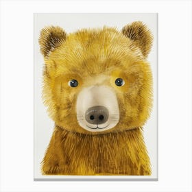 Brown Bear Canvas Print