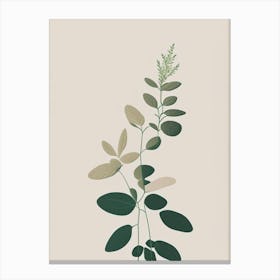 Oregano Herb Simplicity Canvas Print