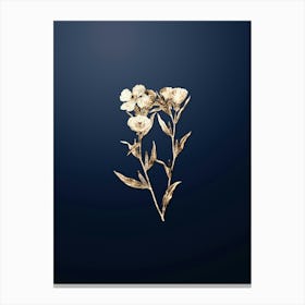 Gold Botanical Pale Corona Amaryllis on Midnight Navy n.3242 Canvas Print