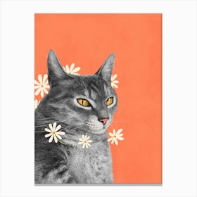 Cat With Chamomile Flowers Canvas Print