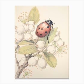 Storybook Animal Watercolour Ladybug 1 Canvas Print