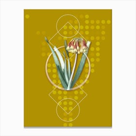 Vintage Knysna Lily Botanical with Geometric Line Motif and Dot Pattern n.0415 Canvas Print