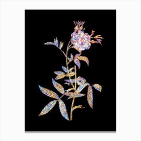Stained Glass White Rose of York Mosaic Botanical Illustration on Black Canvas Print