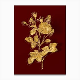 Vintage Pink Agatha Rose Botanical in Gold on Red n.0407 Canvas Print