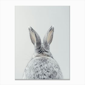 Back Of A Rabbit Canvas Print
